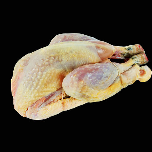 Volailles et BBQ Bio : Pintade 1,6kg 