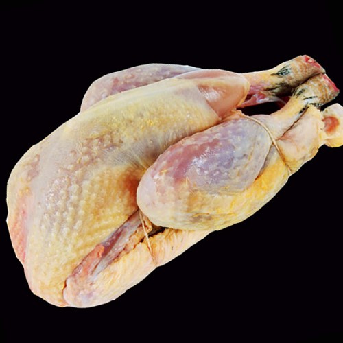 Volailles et BBQ Bio : Pintade 1,7kg 