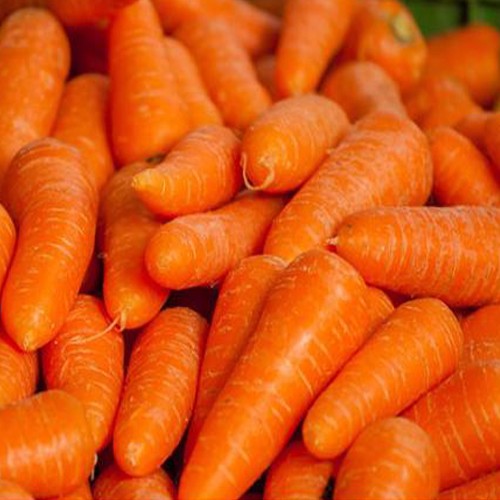 Carottes régionales