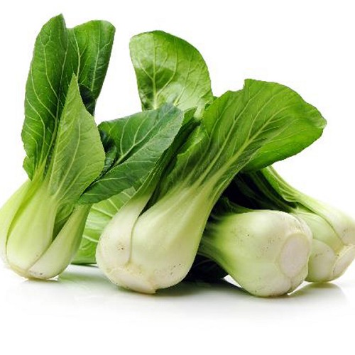 Pak Choy choux chinois