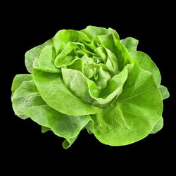 Légumes 100% Bio 