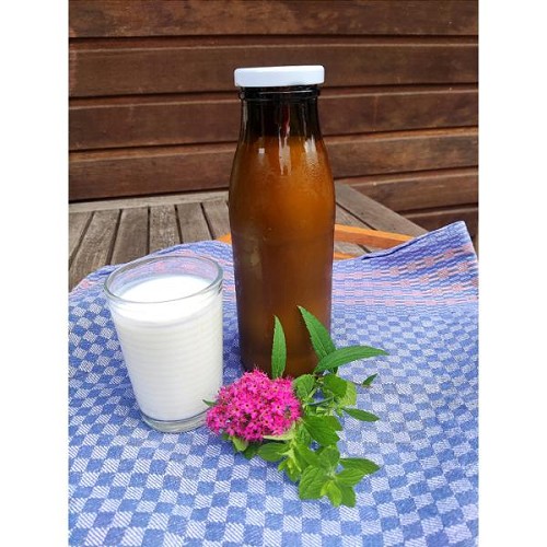 Lait frais entier 50cl en bouteille